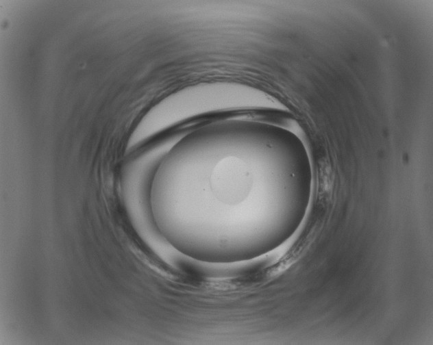 X0000062830141200601131308