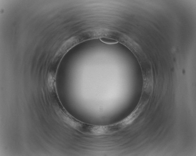 X0000062830142200601131308