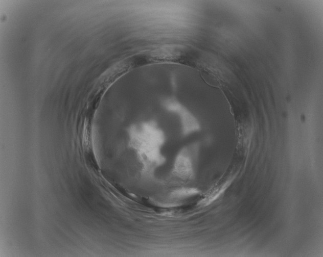 X0000062830143200601131308