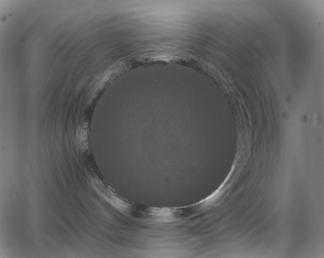 X0000062830144200601131308