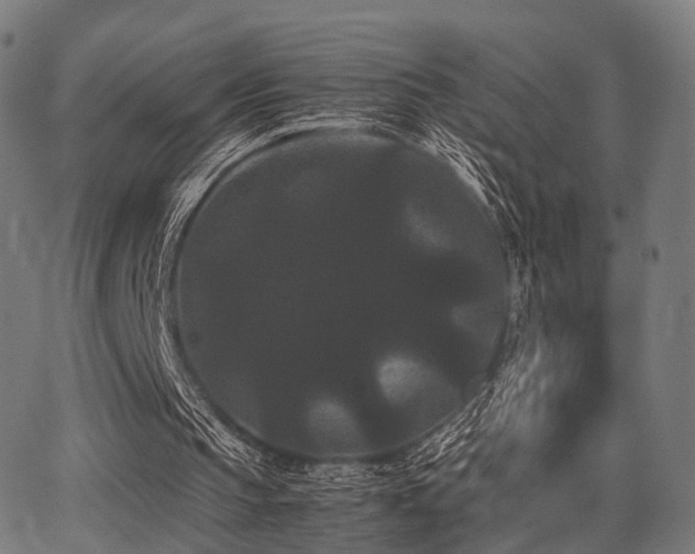 X0000062830145200601131307