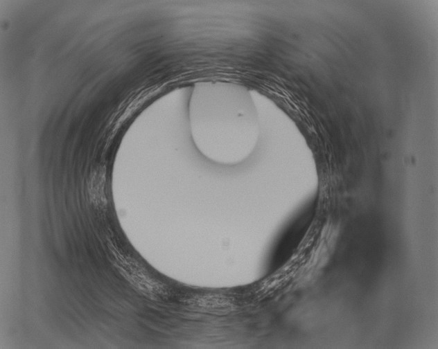 X0000062830146200601131307