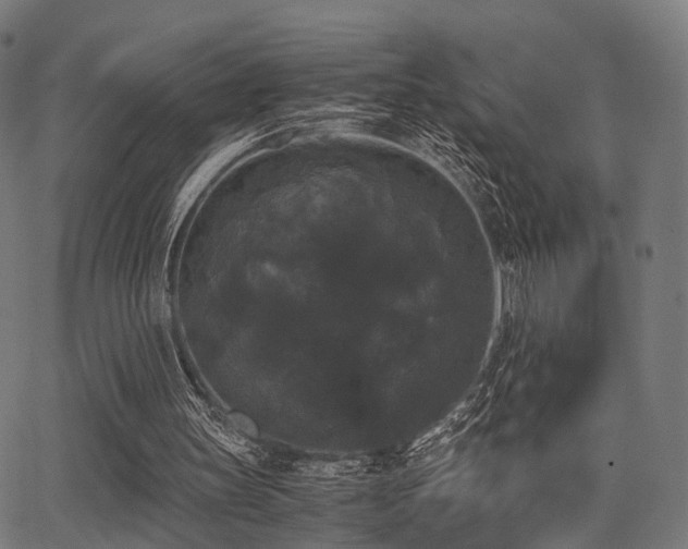 X0000062830147200601131307