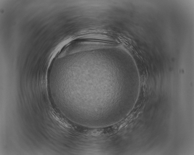 X0000062830148200601131307