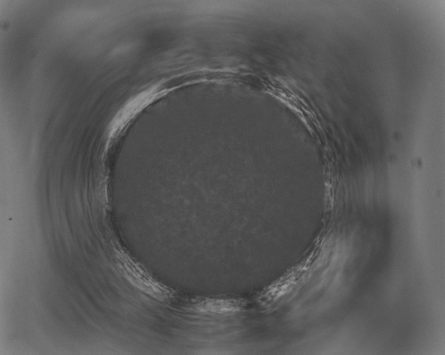 X0000062830149200601131307