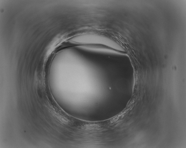 X0000062830150200601131307