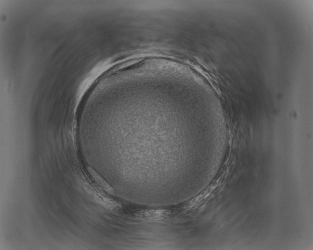 X0000062830152200601131307