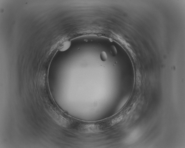 X0000062830153200601131307