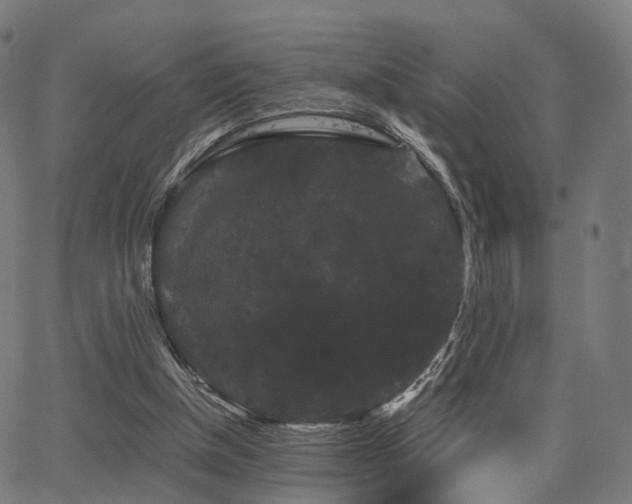 X0000062830154200601131307