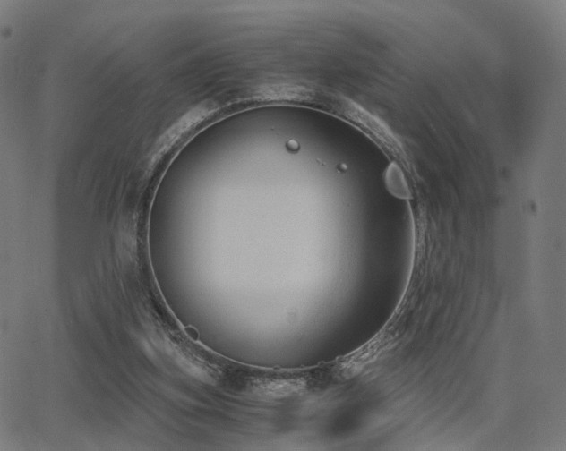 X0000062830155200601131307