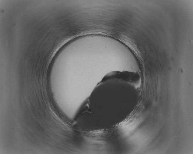 X0000062830156200601131307