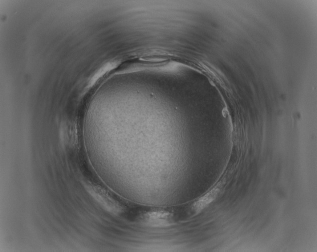 X0000062830158200601131307