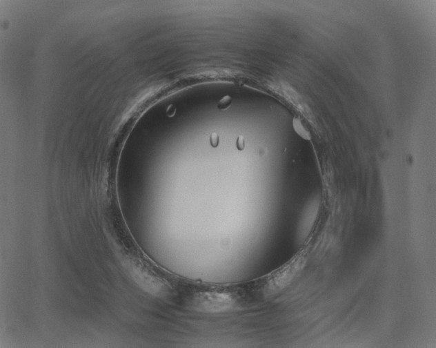 X0000062830159200601131307