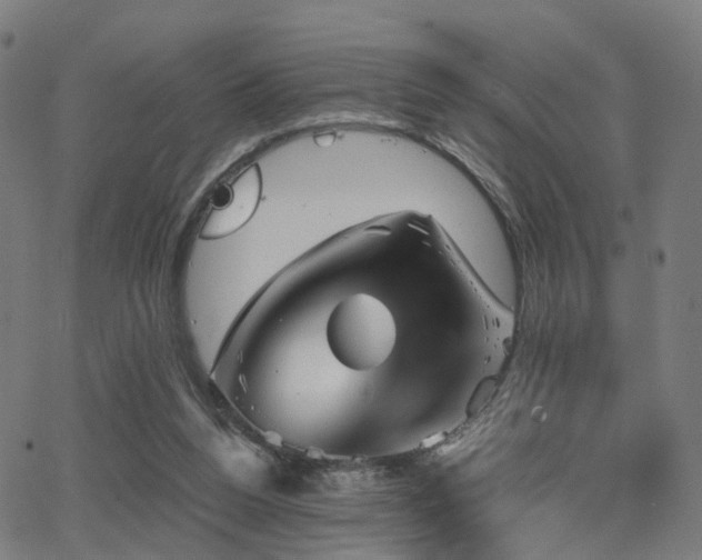 X0000062830160200601131307