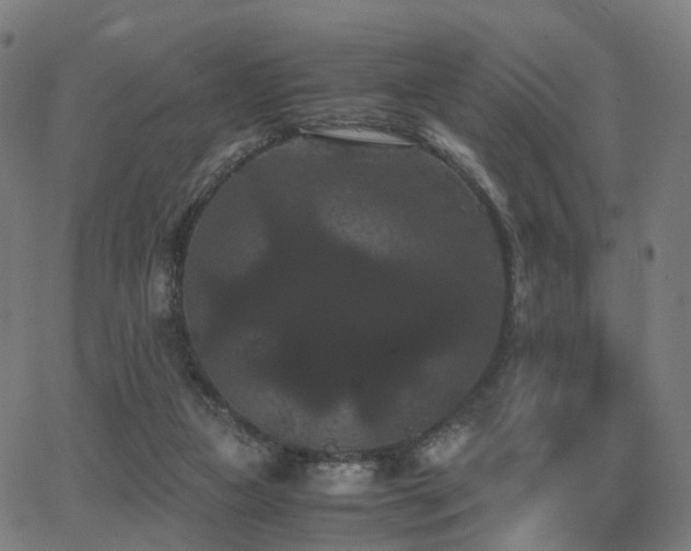 X0000062830161200601131307