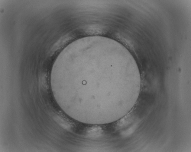 X0000062830162200601131307