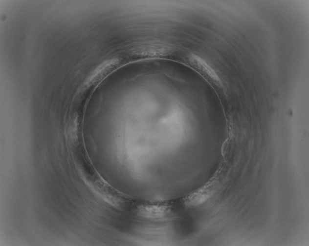 X0000062830163200601131307