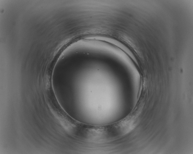 X0000062830164200601131307