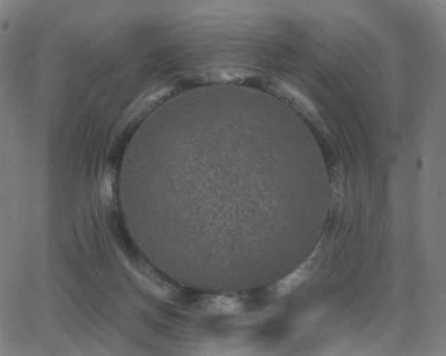 X0000062830166200601131307