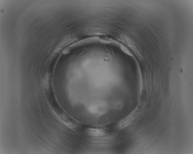 X0000062830167200601131307