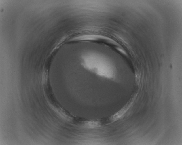 X0000062830168200601131307