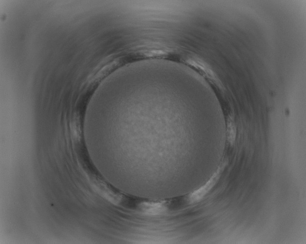 X0000062830170200601131307