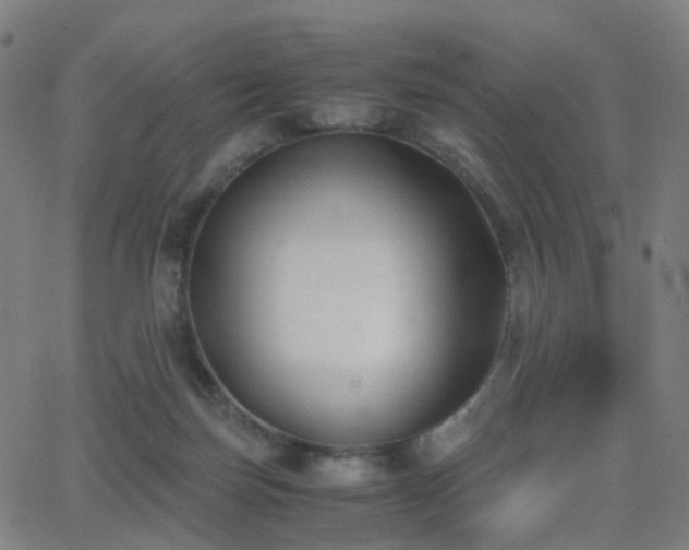 X0000062830171200601131307