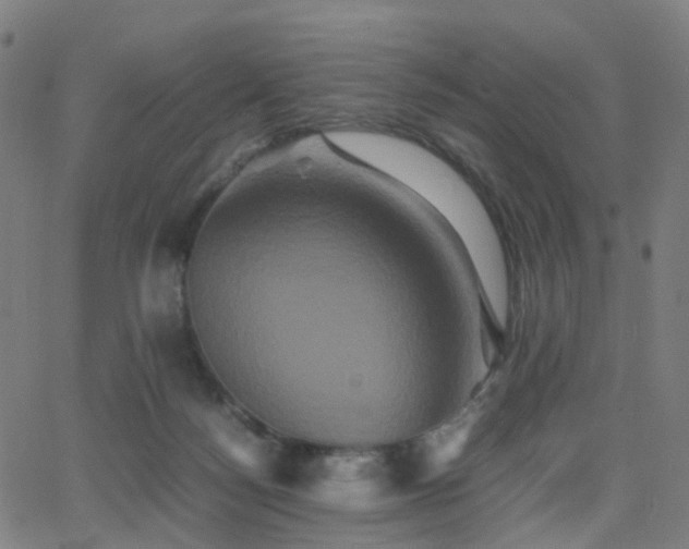 X0000062830172200601131307