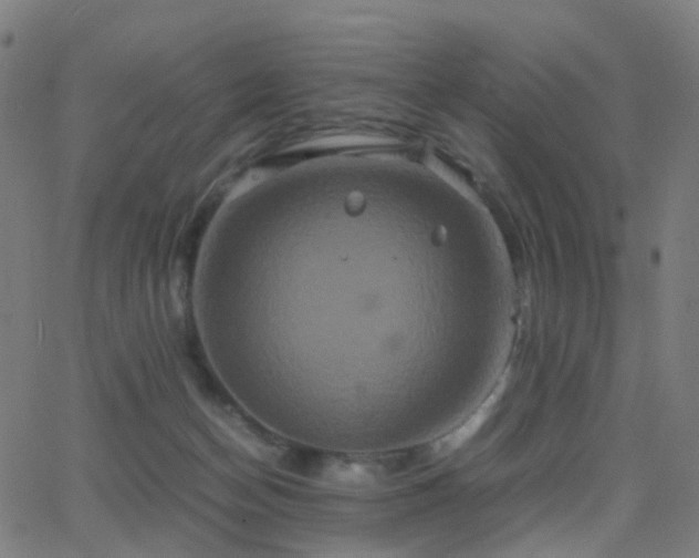 X0000062830174200601131307