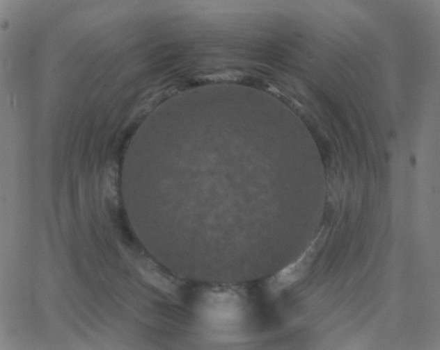 X0000062830175200601131307