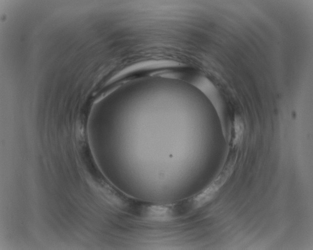 X0000062830176200601131307