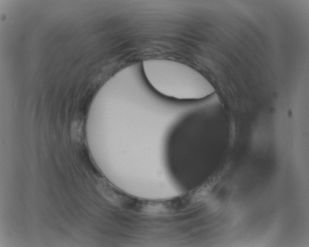 X0000062830177200601131307