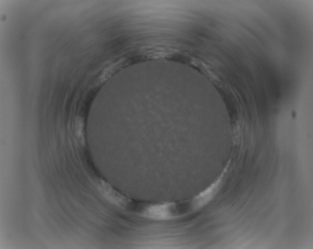 X0000062830178200601131307