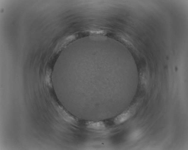 X0000062830185200601131307