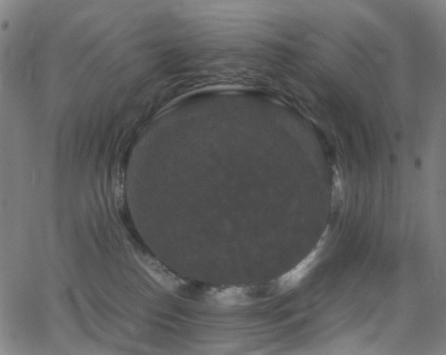 X0000062830186200601131307