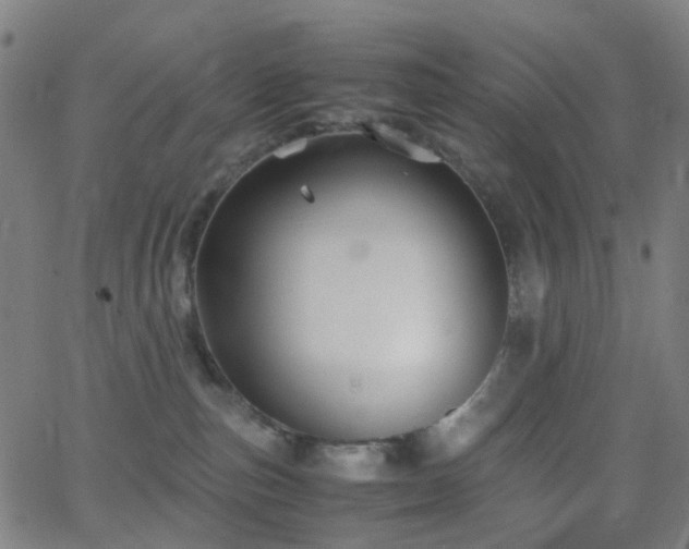 X0000062830187200601131307