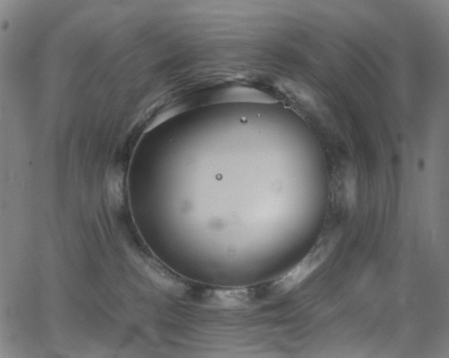 X0000062830188200601131307