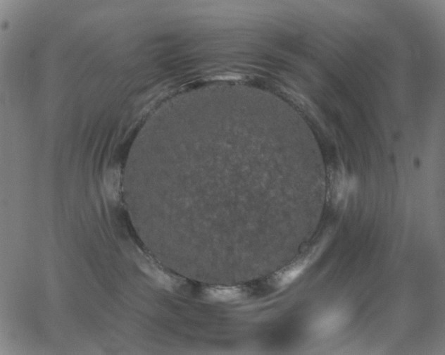 X0000062830189200601131307