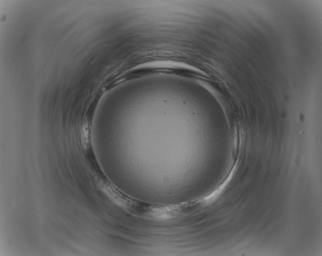 X0000062830190200601131307