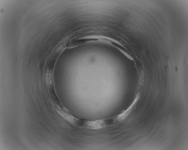 X0000062830191200601131307