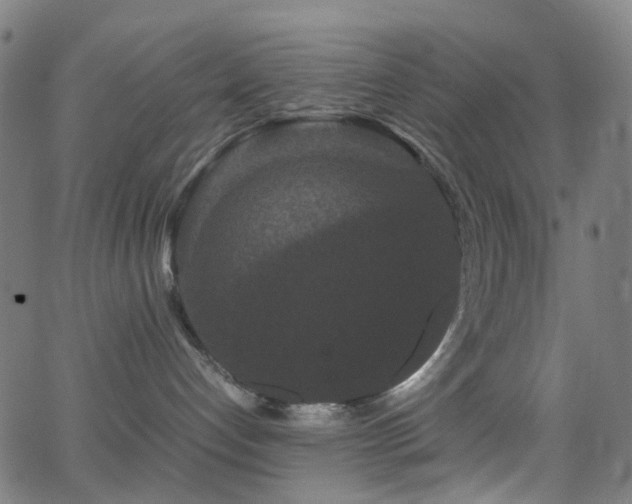 X0000062830192200601131307