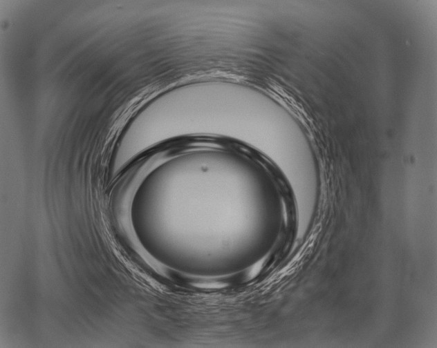 X0000062830193200601131307