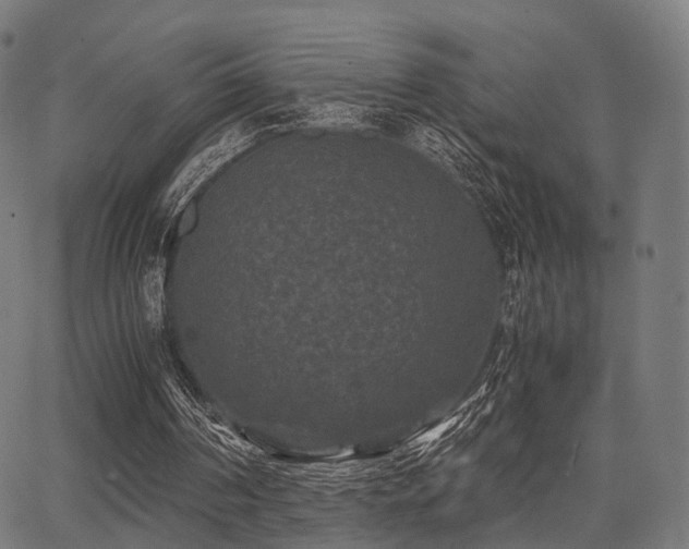 X0000062830194200601131307