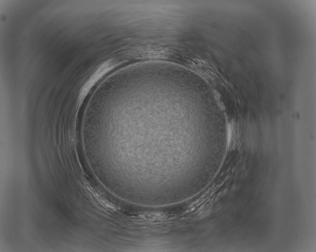 X0000062830195200601131307