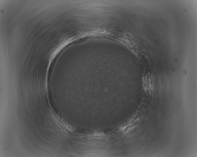 X0000062830196200601131307