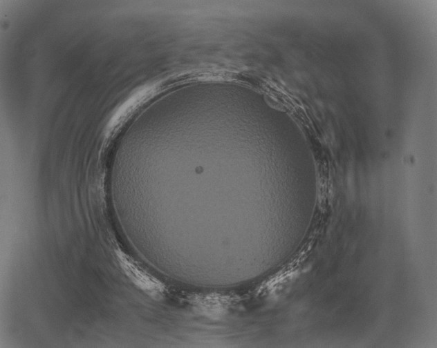 X0000062830197200601131307