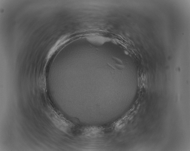 X0000062830198200601131307