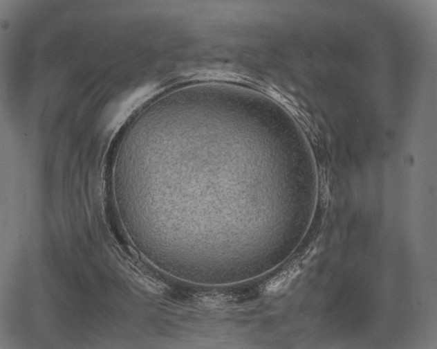 X0000062830199200601131307