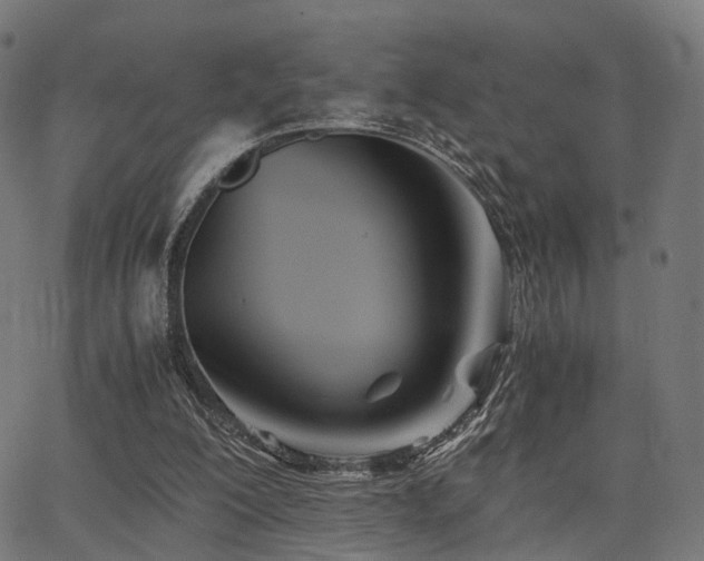 X0000062830200200601131307