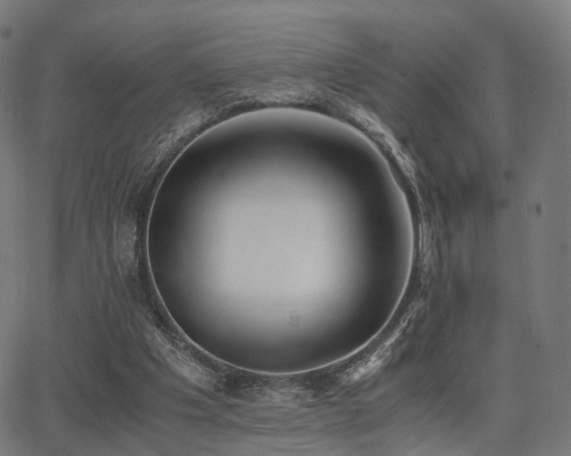 X0000062830201200601131307